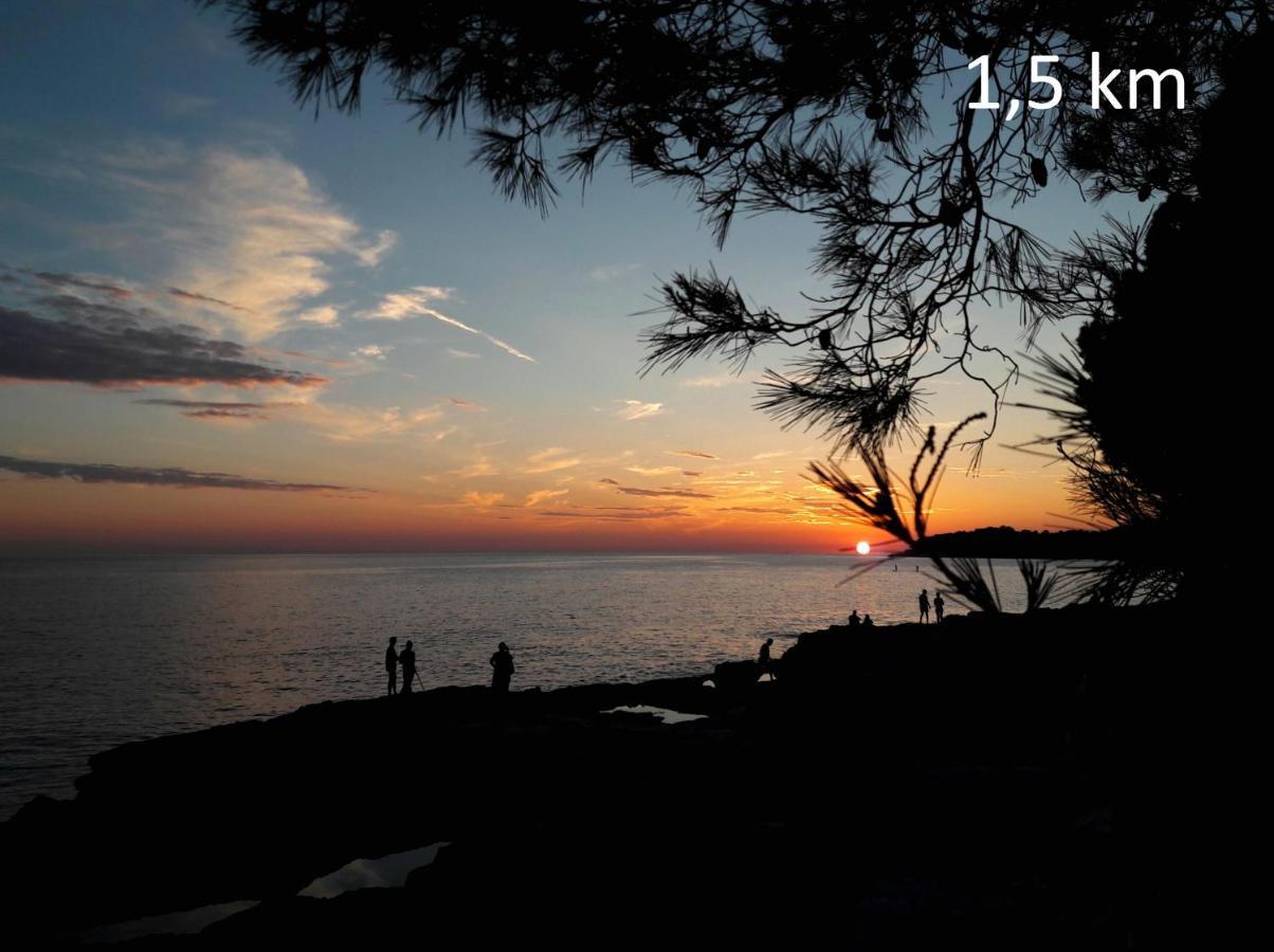 Apartment Evergreen Pula Dış mekan fotoğraf